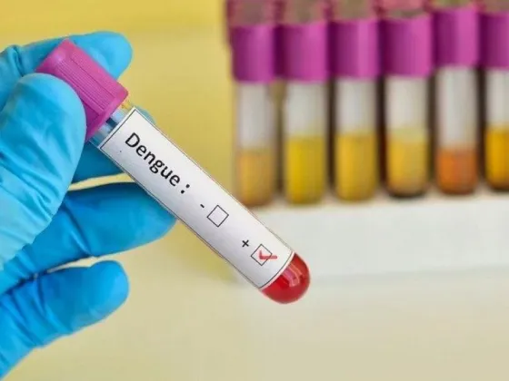 Se registró un récord de más de 120 mil casos de dengue en Argentina y 61 muertes