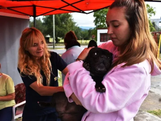 Vacunación antirrábica: atenderán a animales de compañía en zona norte