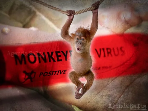 ¡ALERTA! Argentina confirmó el primer caso de viruela del mono