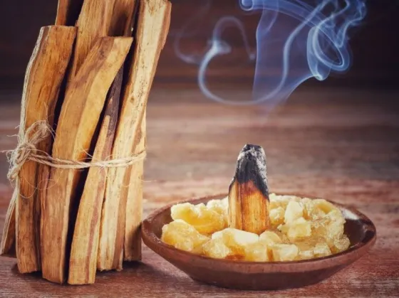 Palo Santo: para qué sirve y cómo se debe quemar para atraer buena energía y abundancia