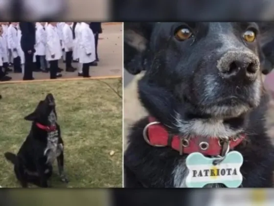 [VIDEO] Patriota: el perro que entona el himno junto a estudiantes y es viral