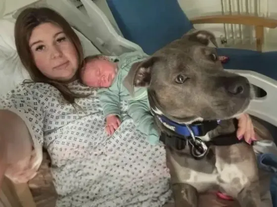 Por primera vez en la h﻿istoria, dejaron ingresar a la mascota de una paciente a la sala de partos