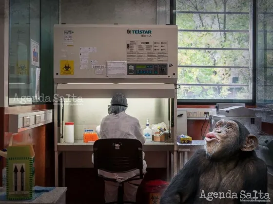 Confirman un contagiado de viruela del mono en la Argentina e investigan un segundo caso sospechoso