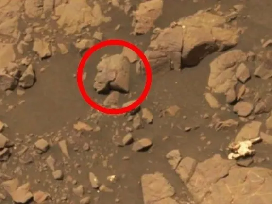 Descubrieron una extraña anomalía: la estatua de una mujer guerrera extraterrestre en Marte
