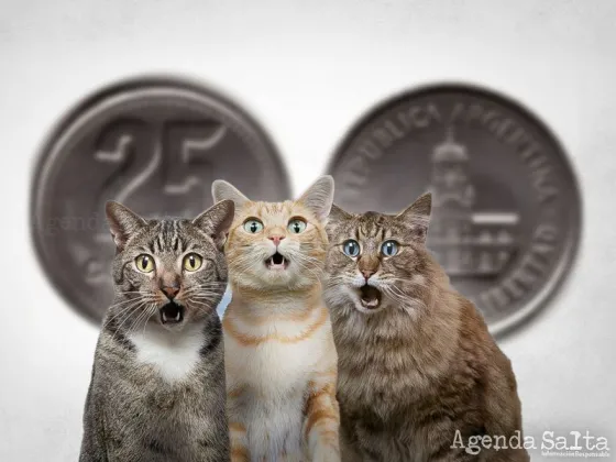 ¿Cómo es la moneda de 25 centavos que se vende a $30.000?