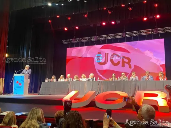 Manes fue el elegido para desempeñarse como titular de la Convención Nacional de la Unión Cívica Radical