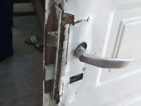 Cuatro chorros fueron acusados de robar en una verdulería
