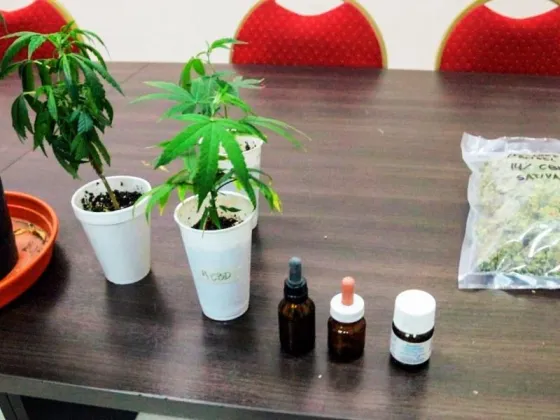 El hospital Señor del Milagro capacita a profesionales sobre uso de cannabis