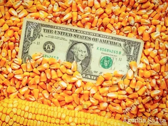Nuevo dólar agro: cuánto espera recaudar el Gobierno