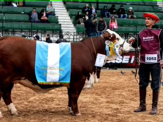 Cabañas de Córdoba y Entre Ríos se quedaron con los “grandes campeones” de la raza Braford