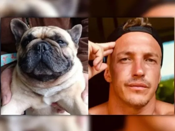 Qué secretos podrá revelar el chip que posee el perro del empresario descuartizado