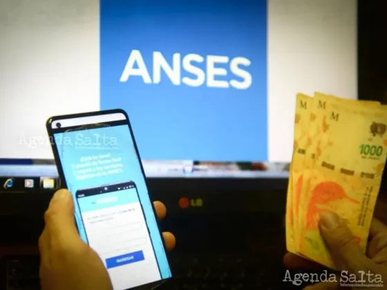 Bono de $20.000 de Anses: con DNI, consultá si te corresponde