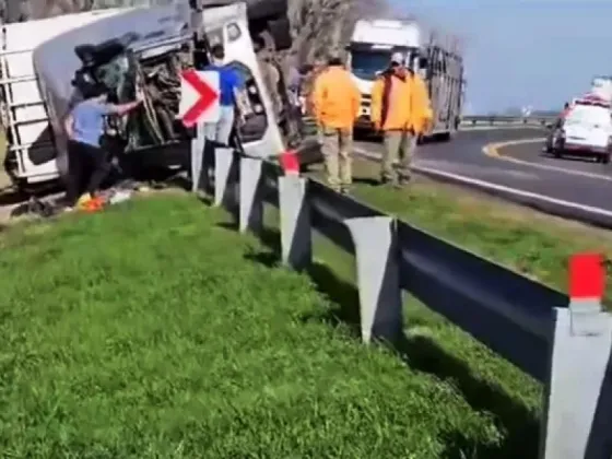 Volcó un camión que transportaba vacas y los vecinos las faenaron en plena ruta