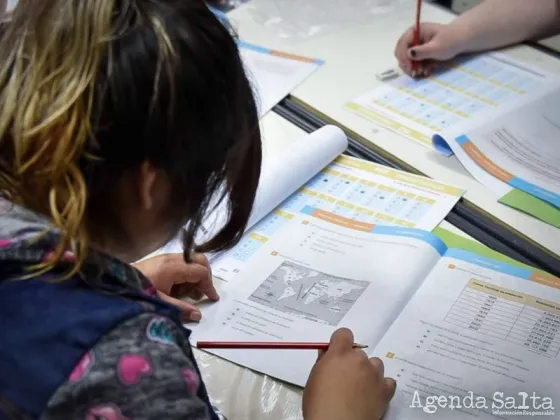 En Salta, 3 de cada 10 alumnos no alcanzan el nivel mínimo en Lengua