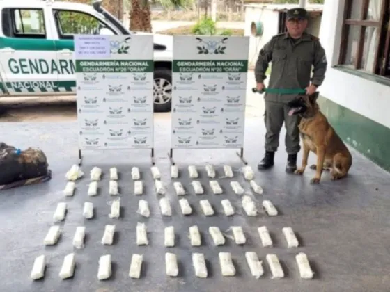 Tres salteños detenidos con 30 kilos de cocaína: La tenían guillada en el auto