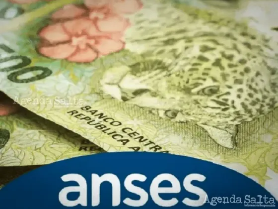 Con DNI, chequeá si cobrás $20.000 de Anses esta semana