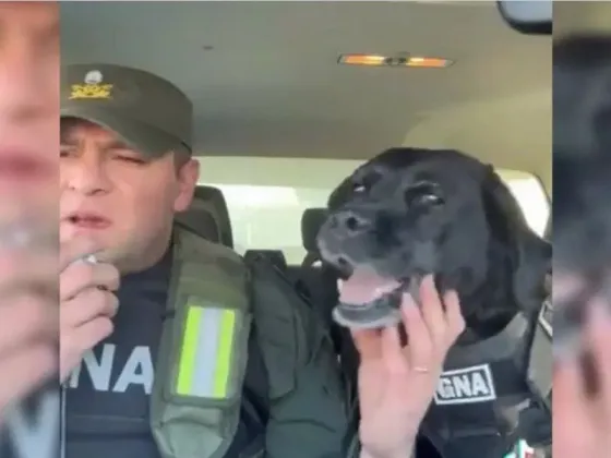 [VIDEO] La emotiva despedida a una perra de Gendarmería que se jubiló: “Feliz retiro, compañera”