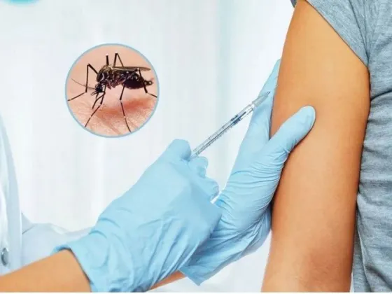 Cuándo estará disponible la vacuna contra el dengue del laboratorio japonés Takeda en la Argentina