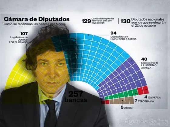 Se perfila un Congreso mucho más fragmentado, tras los resultados de las PASO 2023