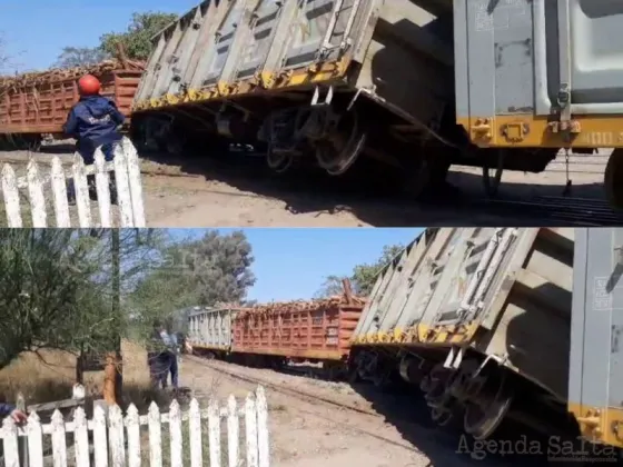 Un grupo de jóvenes provocó el descarrilamiento de un tren en Güemes