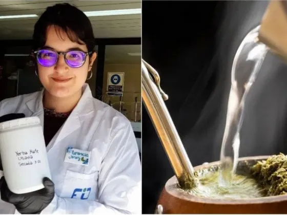 La historia de la científica argentina que crea pilas a base de yerba mate usada