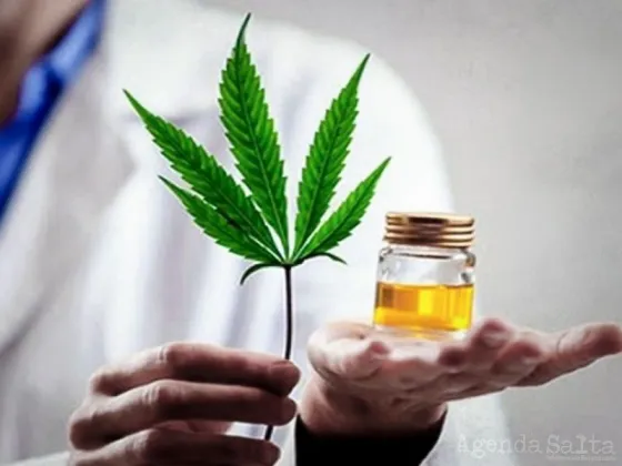La industria del cannabis en Argentina comienza el proceso para otorgar nuevas licencias