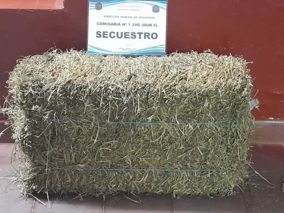 Se recuperaron objetos robados en procedimientos policiales