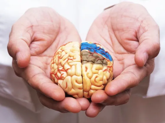 Estas son las primeras señales de Alzheimer