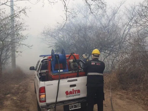 Equipos municipales intervinieron por distintos incidentes ambientales