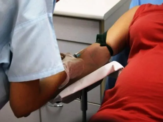 En Salta más de 500 embarazadas fueron diagnosticadas con Chagas en el último año