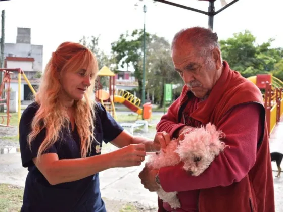 Vacunación antirrábica: visitarán los barrios 14 de Mayo, Docente Sur y Vicente Solá