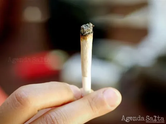 Se duplicó en seis años el consumo de marihuana en Argentina