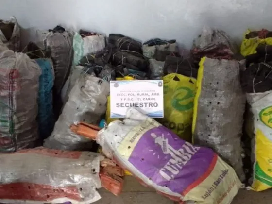 Camionero salteño transportaba una importante cantidad de carbón vegetal y le dieron la cana