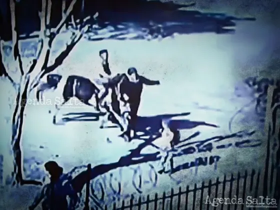 Un nene de 12 años en un caballo atropelló a dos mujeres y una está en coma. | Captura de Pantalla