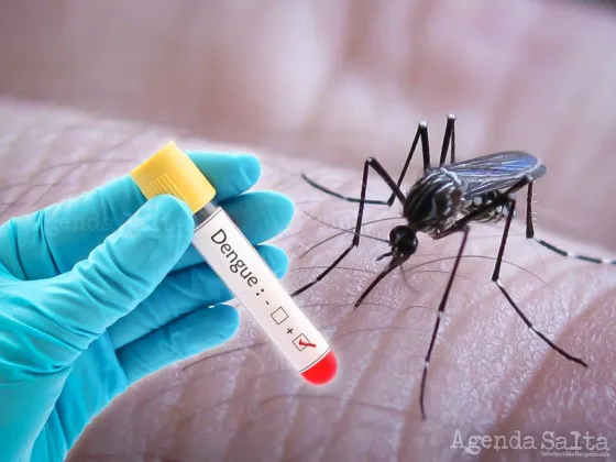 Confirman el PRIMER CASO de DENGUE de la temporada