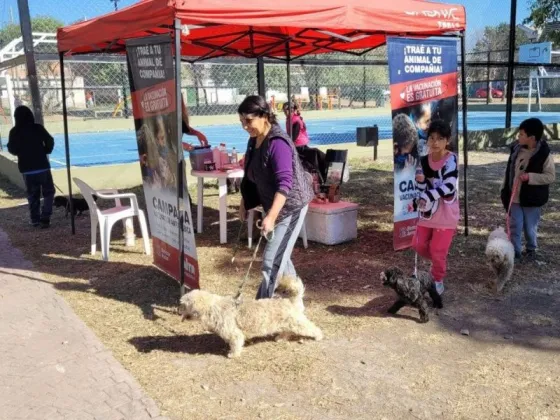 Vacunación antirrábica: toda la semana se trabajará en San Luis