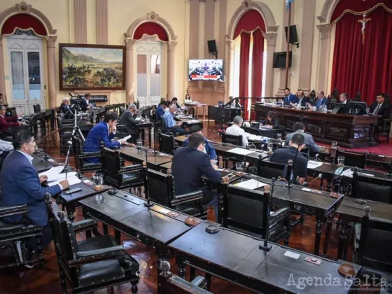 El Senado salteño repudió la falta de atención médica en Bolivia