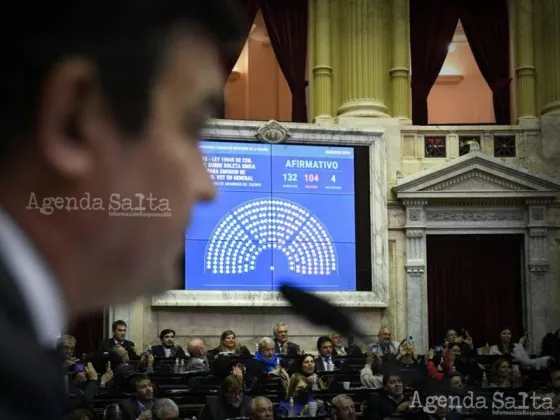 Boleta Única: con 132 votos a favor, el proyecto logró media sanción en Diputados