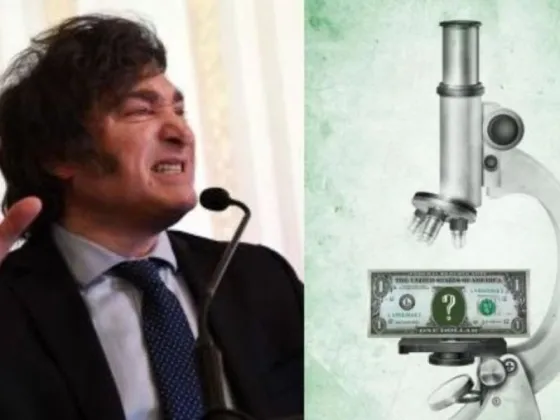 Esto cobrarían en dólares las AUH, AUE, jubilaciones y pensiones si gana Milei