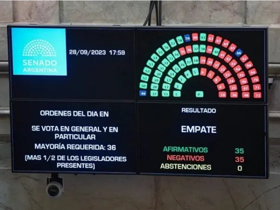 Tras un doble empate, definió Claudia Ledesma y el Senado aprobó el pliego de Ana María Figueroa