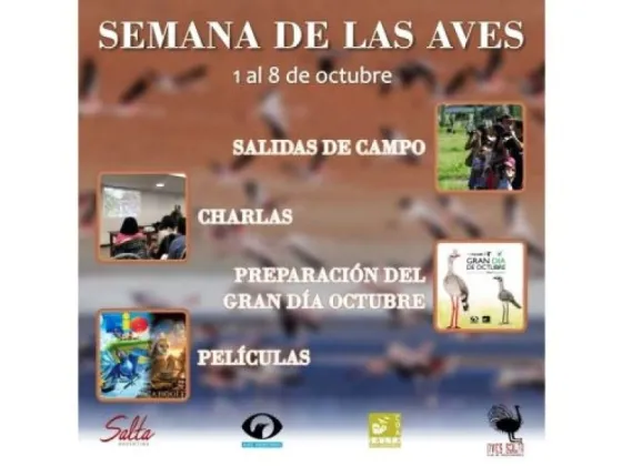 El Parque del Bicentenario celebra la Semana de las Aves con numerosas actividades