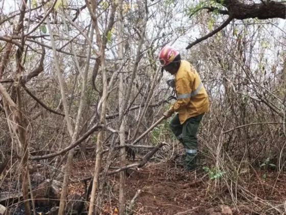 Hubo un Intenso trabajo para sofocar un incendio forestal en La Caldera