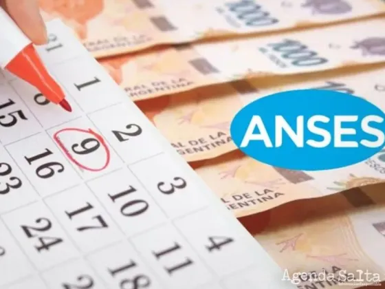 Requisitos de AUH para acceder al Refuerzo que entrega el Gobierno