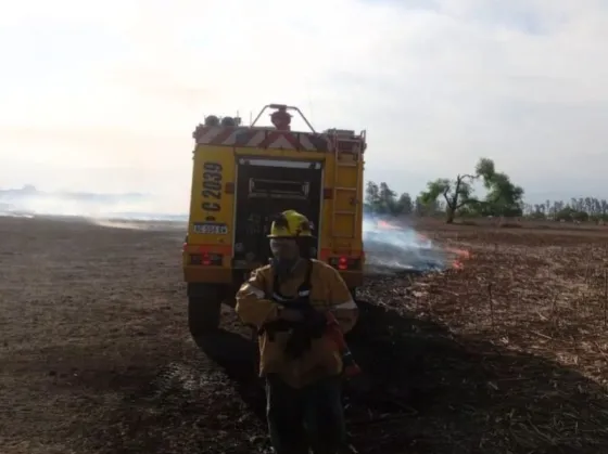 Bomberos lograron sofocar un incendio forestal en Cerrillos