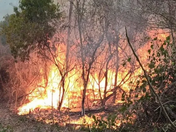 El fuego descontrolado consumió más de 1.300 hectáreas en Orán
