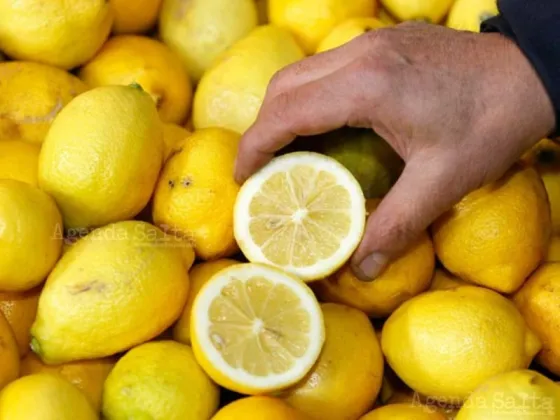 Menos cítricos y más soja en Salta: Malas decisiones de Provincia y Nación impactan en el mercado local