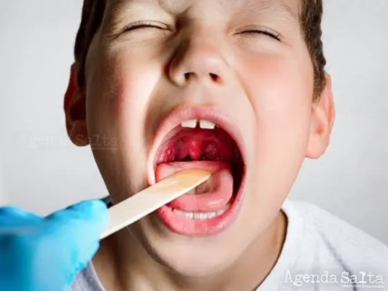 Alarma en Salta por la bacteria streptococcus: ya causó dos muertes en lo que va del año