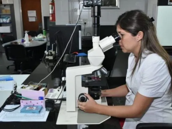 Se dio a conocer un nuevo informe de la Dirección General de Coordinación Epidemiológica