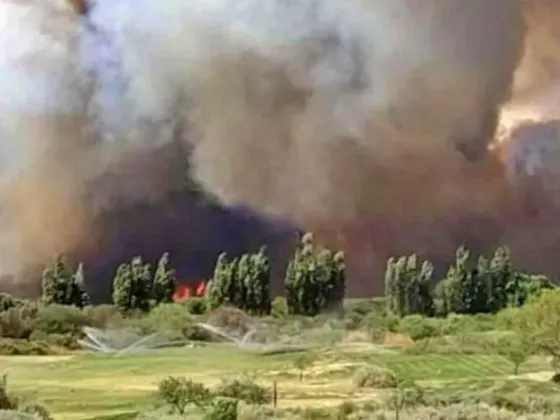 Terrible incendio en Cafayate