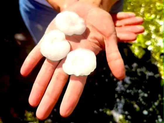 Una intensa tormenta de granizo afectó la región agrícola en Santa Fe, Córdoba y Entre Ríos